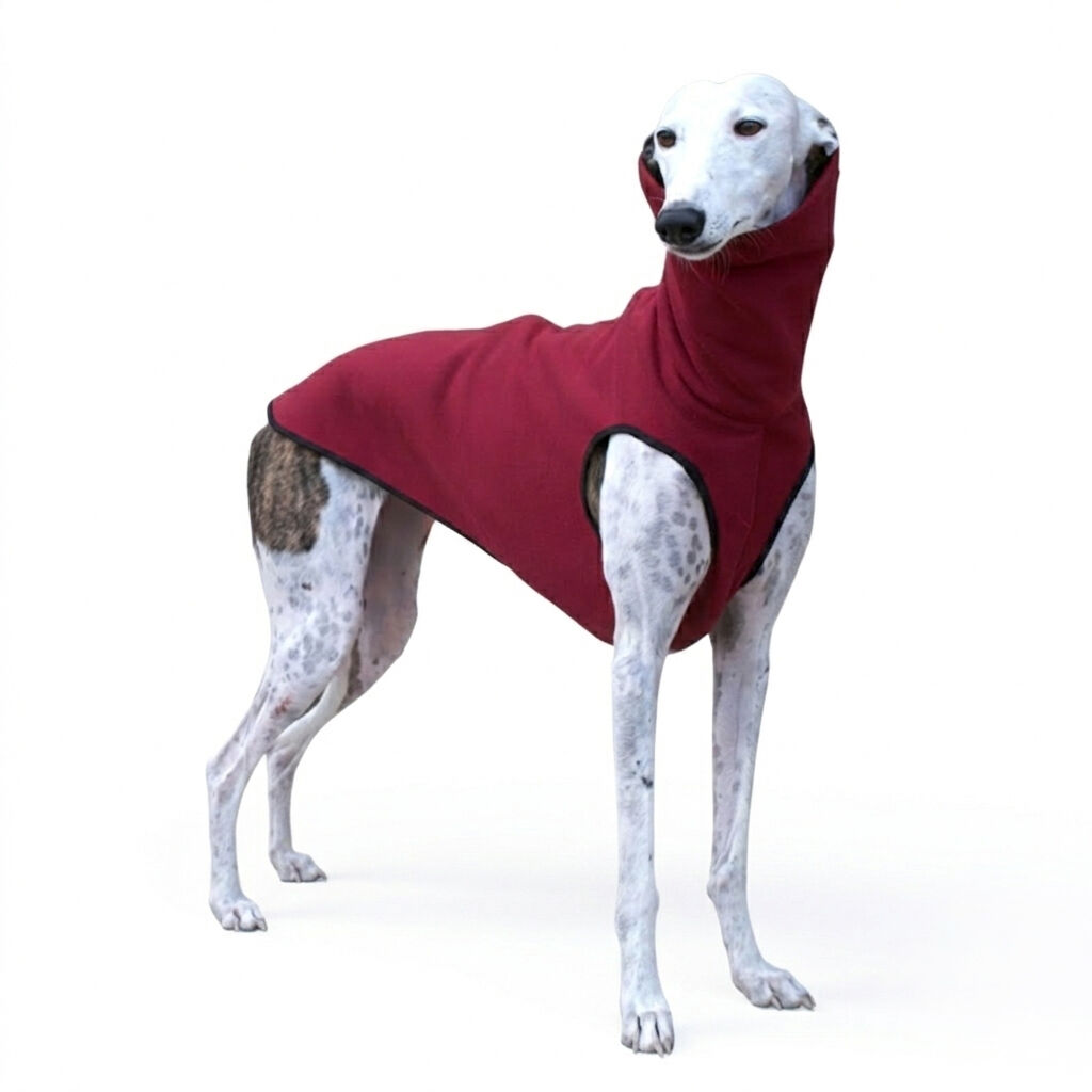 Sudadera Burdeos para galgos y podencos Talla S, , large Imagen numero 1