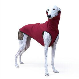 Sudadera Burdeos para galgos y podencos Talla XL