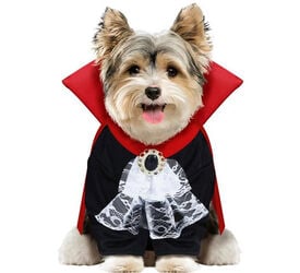 Guirca Disfraz de Vampiro Wooferatu para perros halloween