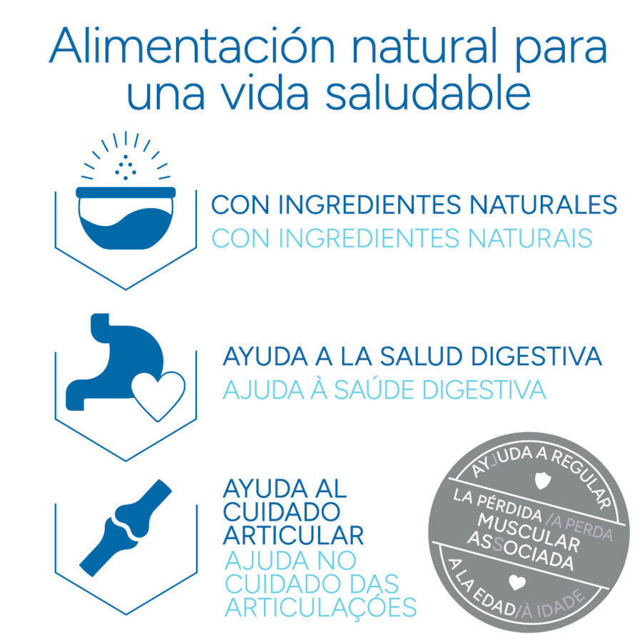 Criadores Cient&iacute;fico Mature +7 Pollo pienso para gatos, , large Imagen numero 6