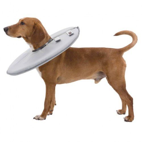 Collar protector para mascotas color Gris, , large Imagen numero 4