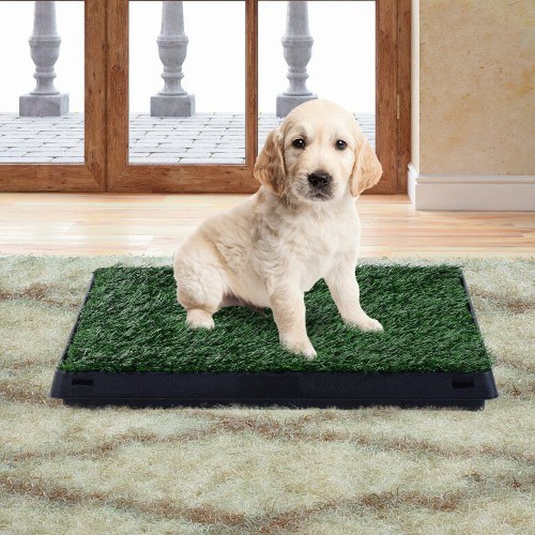 Pawhut inodoro con cajón efecto hierba negro y verde para perros, , large image number null