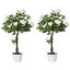 Outsunny Rosas Artificiales Verde y Blanco, , large indicador imagen numero 1