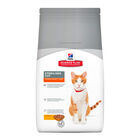 Hill's Science Plan Sterilised Young Adult Pollo pienso para gatos, , large image number null