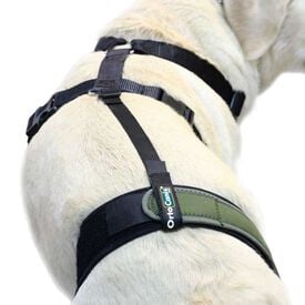 Ortocanis Arnés Protector De Rodilla Y Sujeción Lumbar para perro