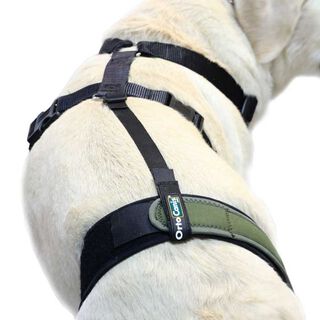 Ortocanis Arnés Protector De Rodilla Y Sujeción Lumbar para perro