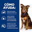 Hill's Prescription Diet Metabolic Vacuno y Verduras lata para perros, , large indicador imagen numero 3