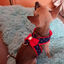Ideal Pets Arnes para perros, modelo American`s love, , large indicador imagen numero 3