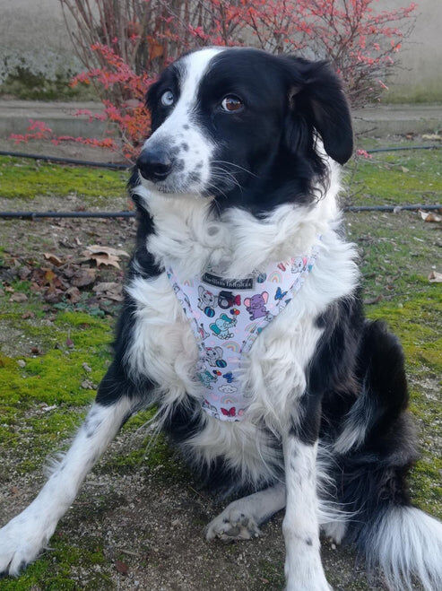 FUNNY ELEPHANTS, , large Imagen numero 6