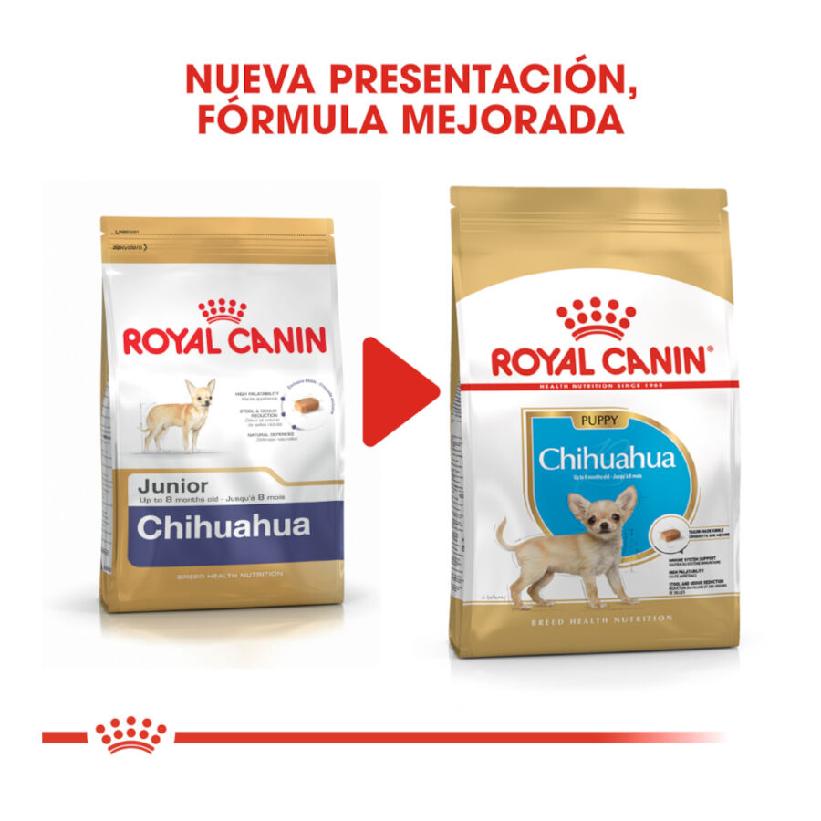 Royal Canin Puppy Chihuahua pienso para cachorros thumbnail