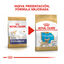 1.5 kg Royal Canin Puppy Chihuahua pienso para cachorros, , large indicador imagen numero 3