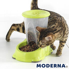 Moderna MP Tolva Smart Comedero Verde para mascotas