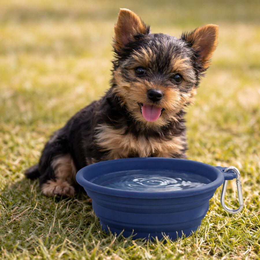 Gotoo Comedero Plegable y Port&aacute;til de Silicona Azul para perros y gatos, , large Imagen numero 1