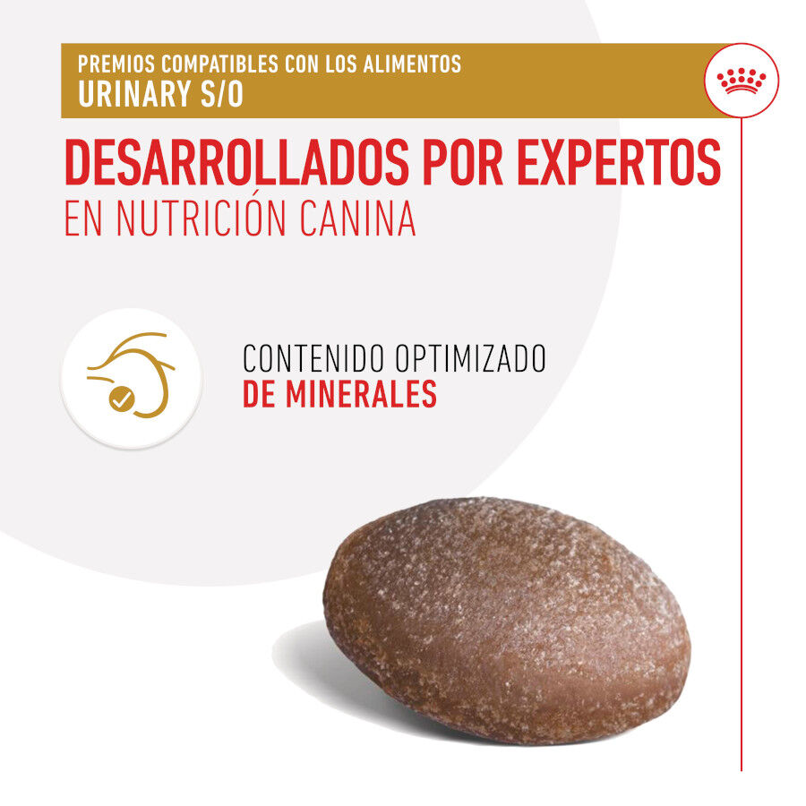 Royal Canin Treats Urinary Snacks para perros thumbnail