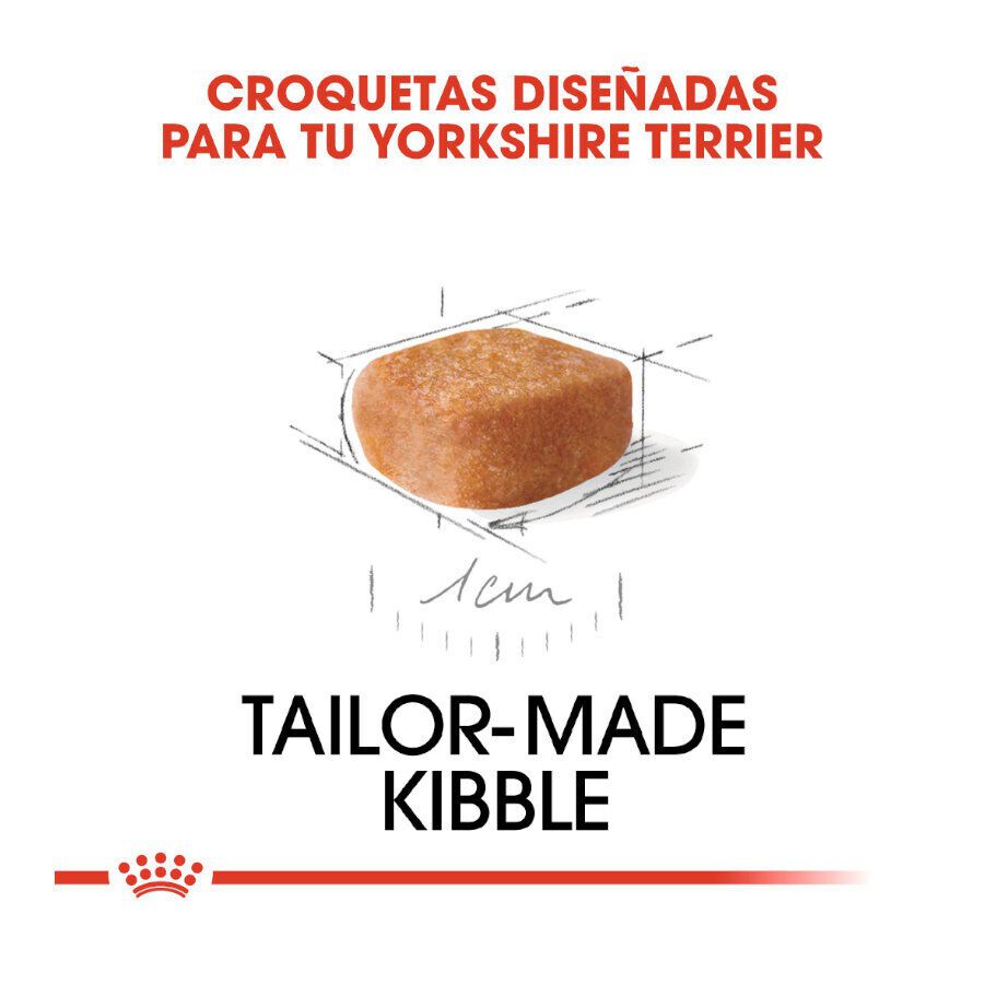 Royal Canin Puppy Yorkshire Terrier pienso para cachorros thumbnail