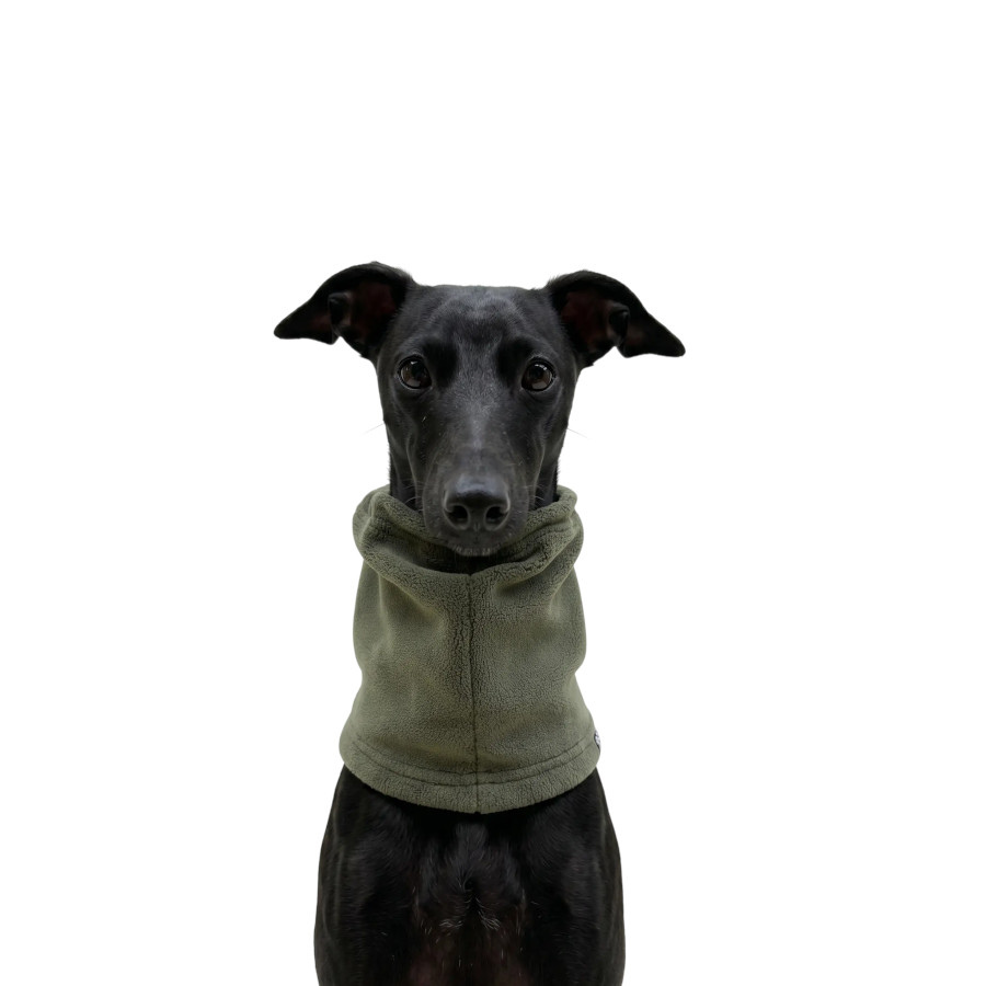 Gotoo Bufanda Polar Verde para perros, , large Imagen numero 7