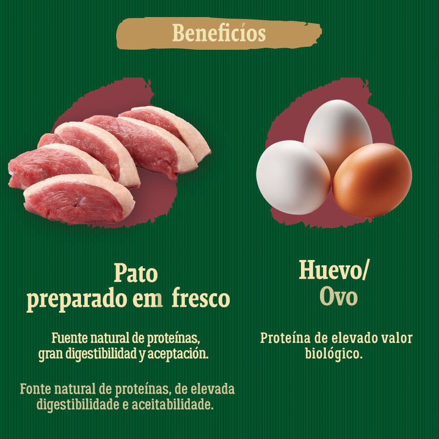 True Origins Wild Mini Lagoon Pato pienso para perros, , large Imagen numero 5