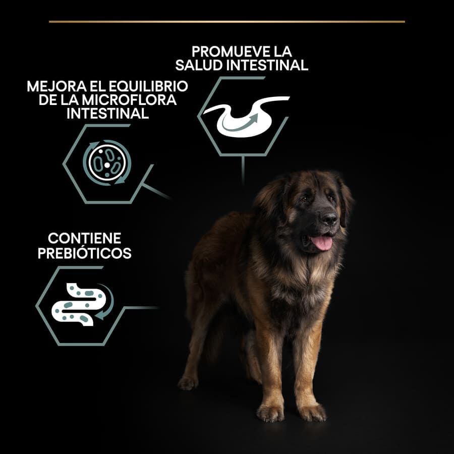 Pro Plan Adult Large Robust Digestión Cordero pienso para perros thumbnail