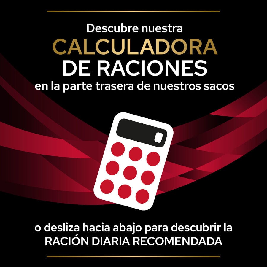 Pro Plan Veterinary Diets CC Cardiocare pienso para perros thumbnail