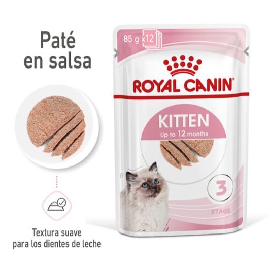 altura jalea Descubrir Royal Canin Kitten paté sobre para gatos