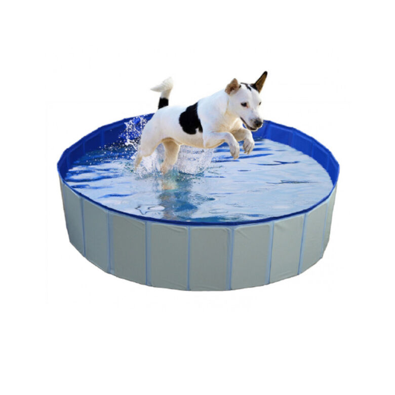 Duvo Piscina Azul para perros