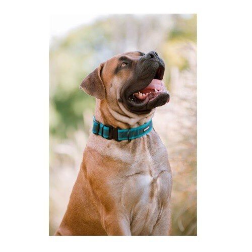 APEX DOG GEAR collar ajustable con cierre met&aacute;lico rojo para perros, , large Imagen numero 4