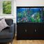 Acuario Completo de 300L con Mueble Negro, , large indicador imagen numero 2