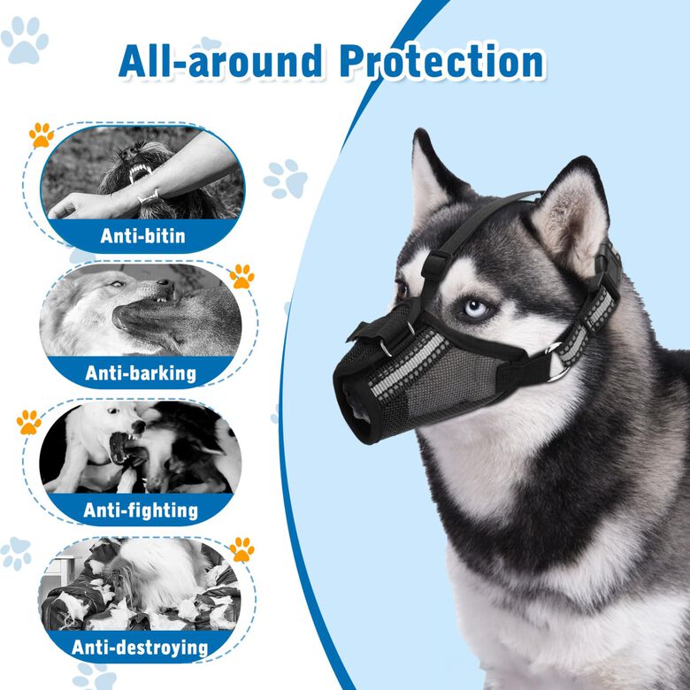 Nobleza Bozal para Perros thumbnail