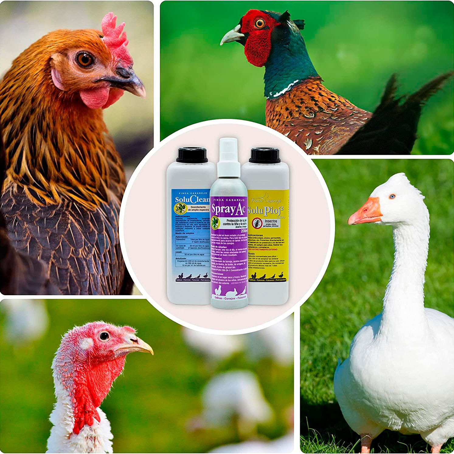 Finca casarejo pack de productos de limpieza y desinfecci&oacute;n para gallinero, , large Imagen numero 4