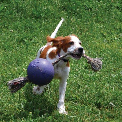 Pelota con cuerda para perros color Azul, , large Imagen numero 2