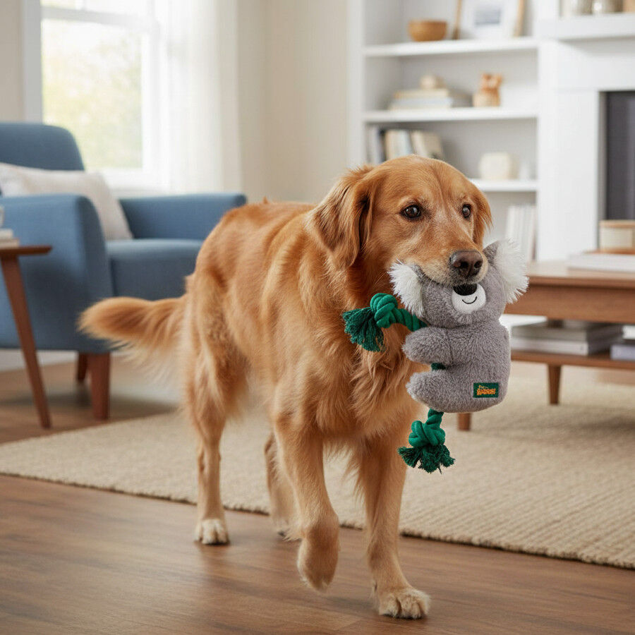 All For Paws Safari Cuddle Koala con Cuerda Juguete para perros, , large Imagen numero 1