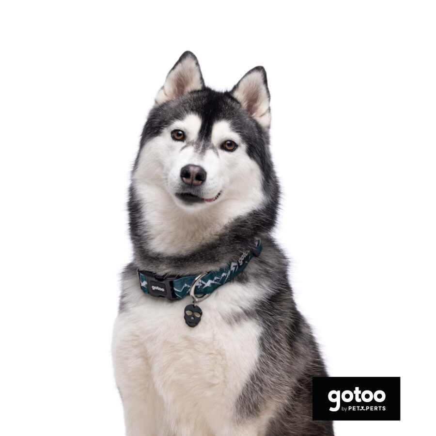 Gotoo Collar estampado verde para perros, , large Imagen numero 3