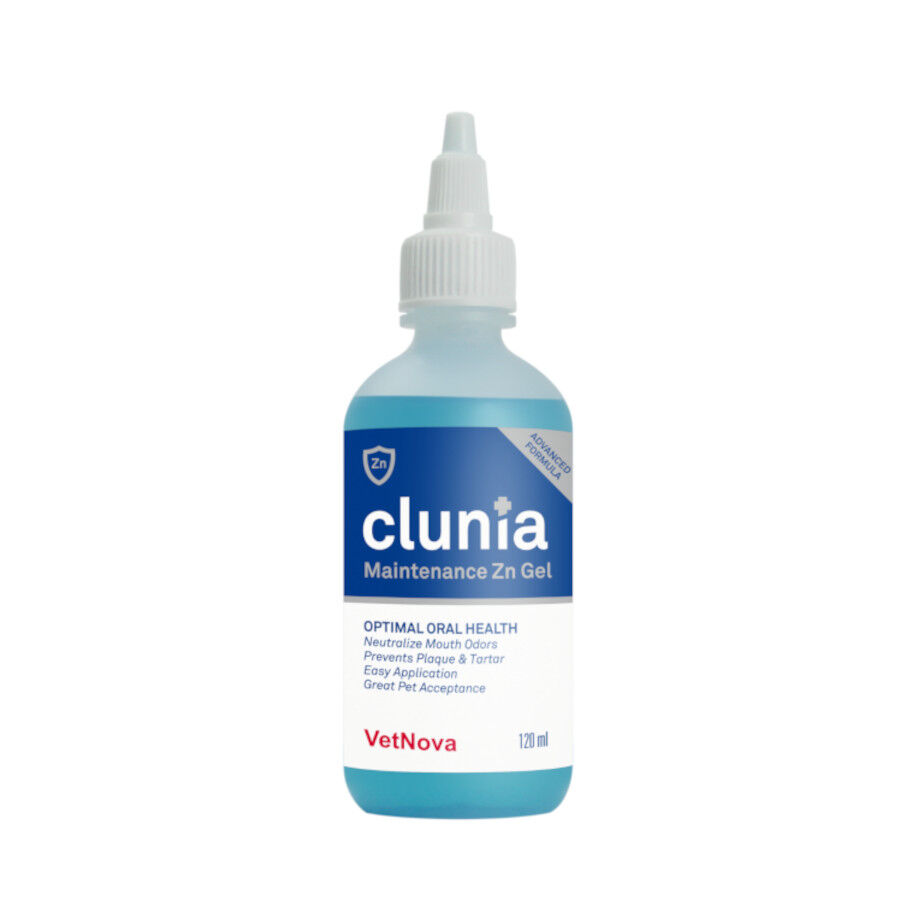 VetNova Clunia Maintenance ZnGel Advance para perros y gatos, , large Imagen numero 1