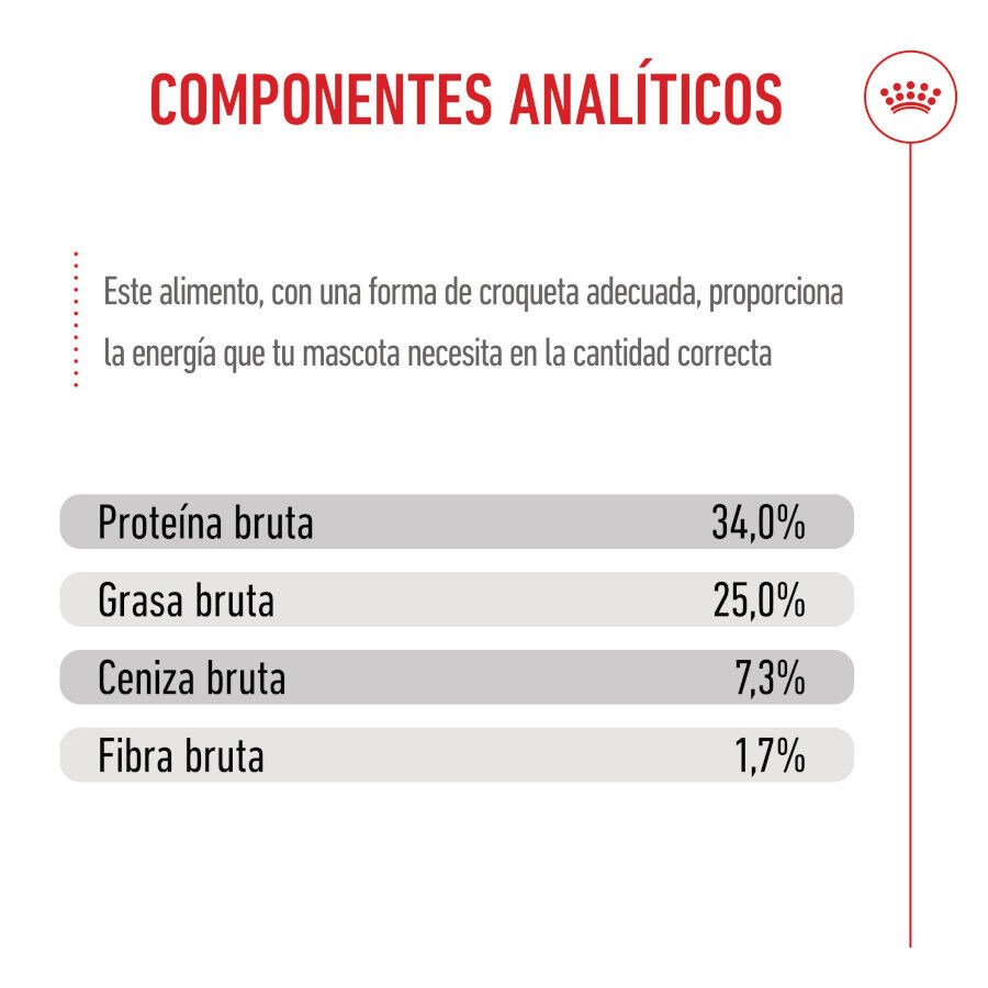 Royal Canin Mother &amp; Babycat pienso para gatos thumbnail