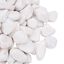 vidaXL Guijarros pulidos blancos 10 kg 2-5 cm, , large indicador imagen numero 4