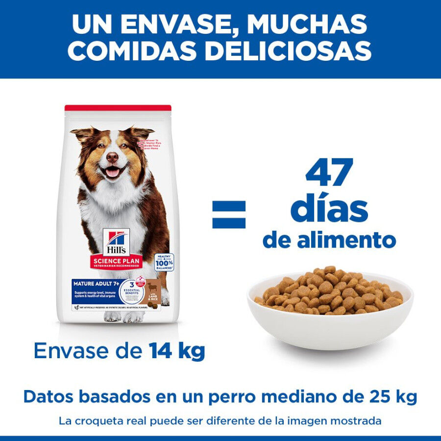 14 kg Hill's Science Plan Mature Adult Medium Cordero pienso para perros, , large Imagen numero 6