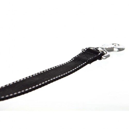 Correa de ciclismo para perros color Multicolor, , large Imagen numero 2