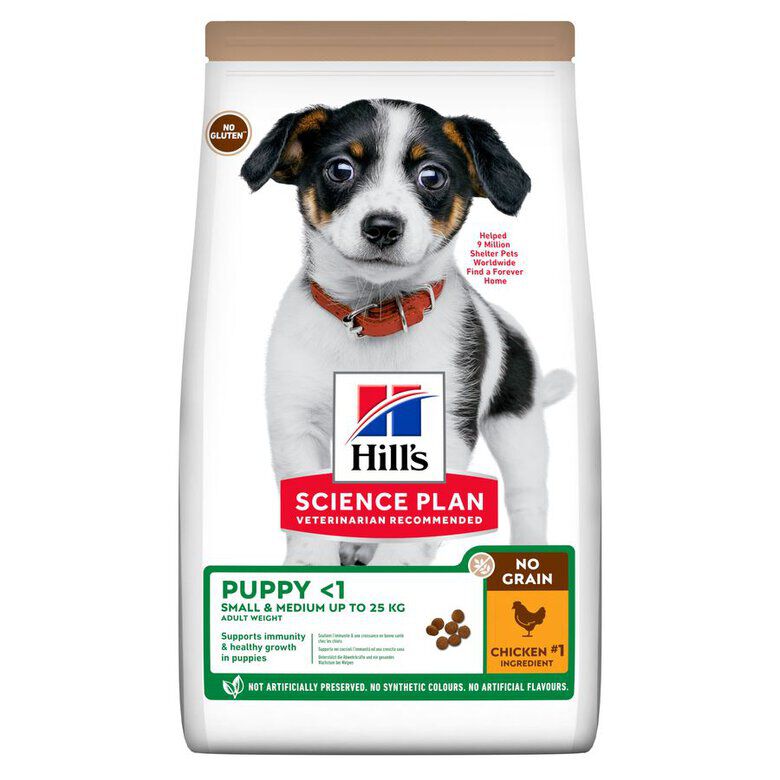 Hill's Science Plan Puppy Small y Medium Pollo pienso para perros, , large Imagen numero 2