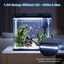 Nobleza - Acuario de Cristal 30L con Iluminaci&oacute;n LED y Sistema de Filtro, Pecera con Cubierta y Accesorios para Peces de Agua Dulce y Salada, Dise&ntilde;o Curvo Moderno, , large indicador imagen numero 4