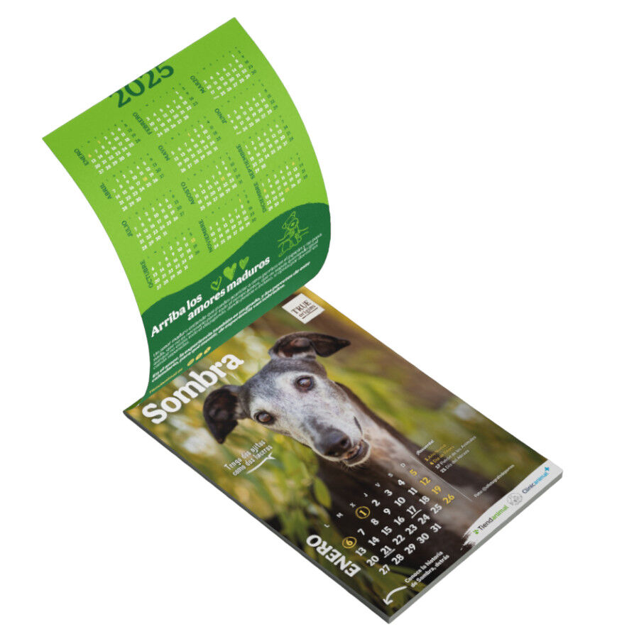 Tiendanimal Calendario Solidario, , large Imagen numero 2