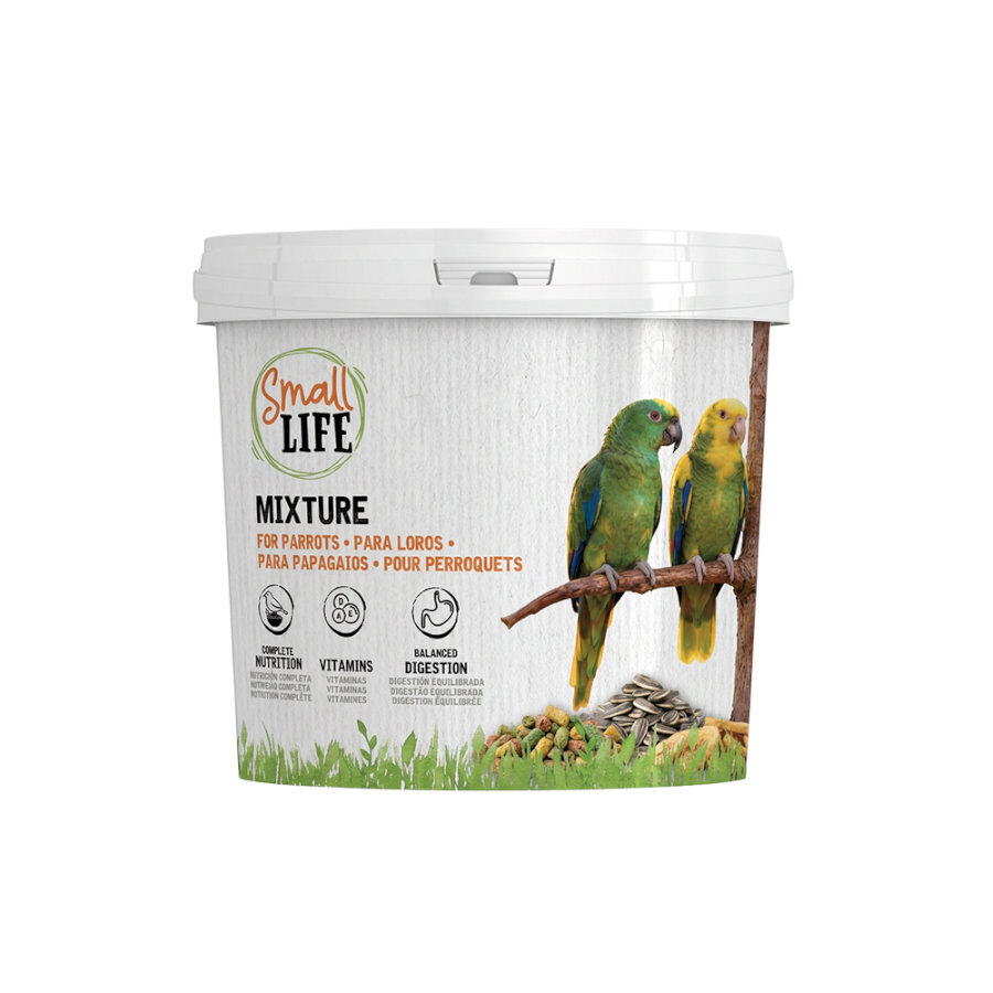 2.8 kg Small Life Mixtura Cubos para loros, , large Imagen numero 2