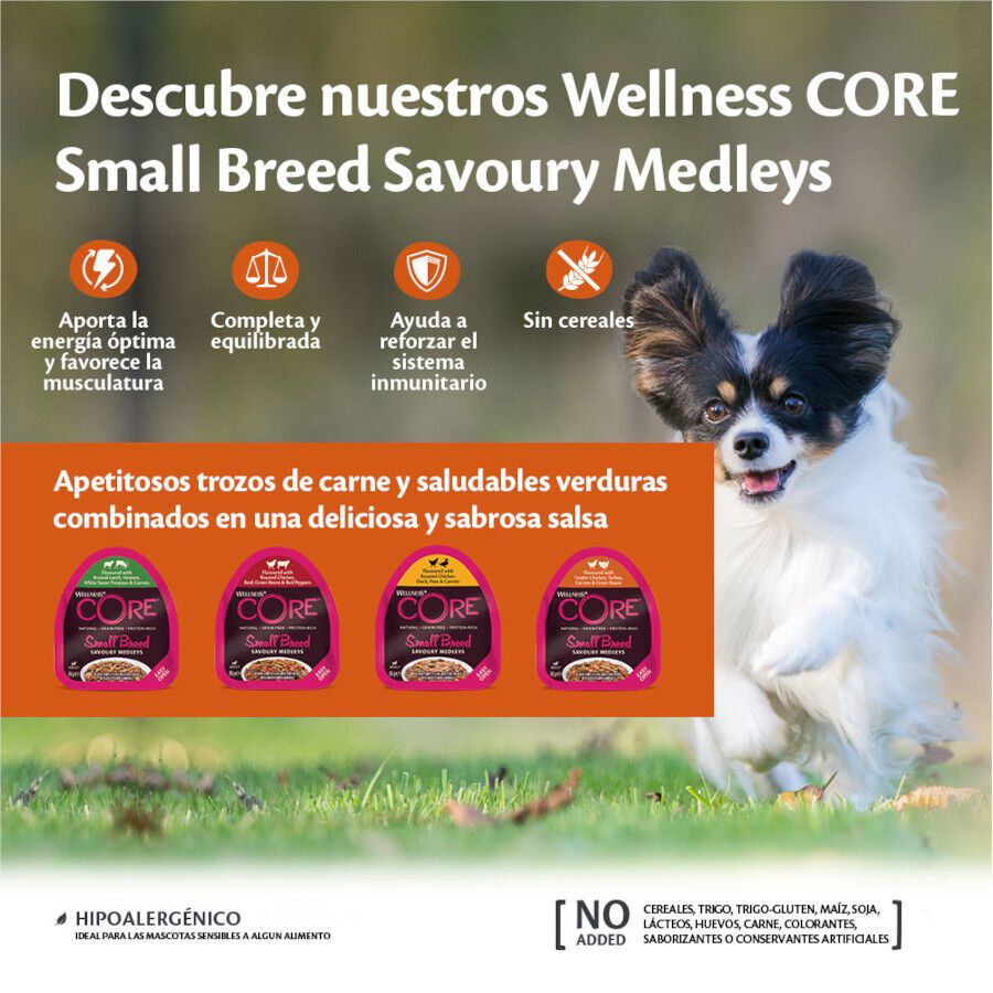 Wellness Core Small Breed Grain Free Pollo y Pato tarrina para perros thumbnail