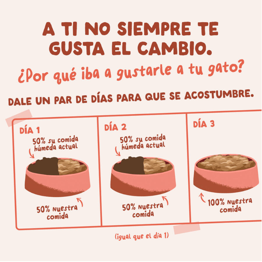 85 g Edgard & Cooper Trucha y Pollo sobre en salsa para gatos, , large Imagen numero 9