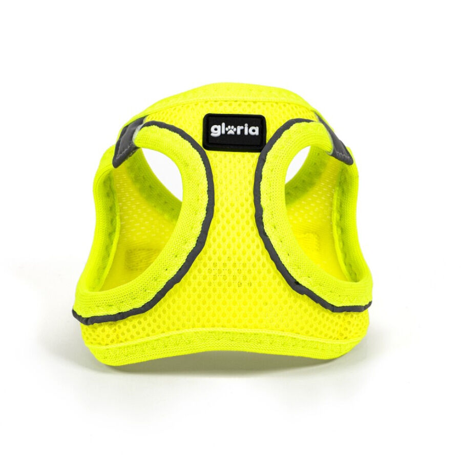 Gloria Air Mesh Trek Star Arn&eacute;s Amarillo para perros, , large Imagen numero 4
