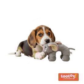 Tootoy! Elefante Mordedor de Peluche para cachorros