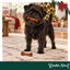 1 pack x 2 uds. Wonder Christmas D&uacute;o Huesos Piel Prensada Snacks para perros, , large indicador imagen numero 2