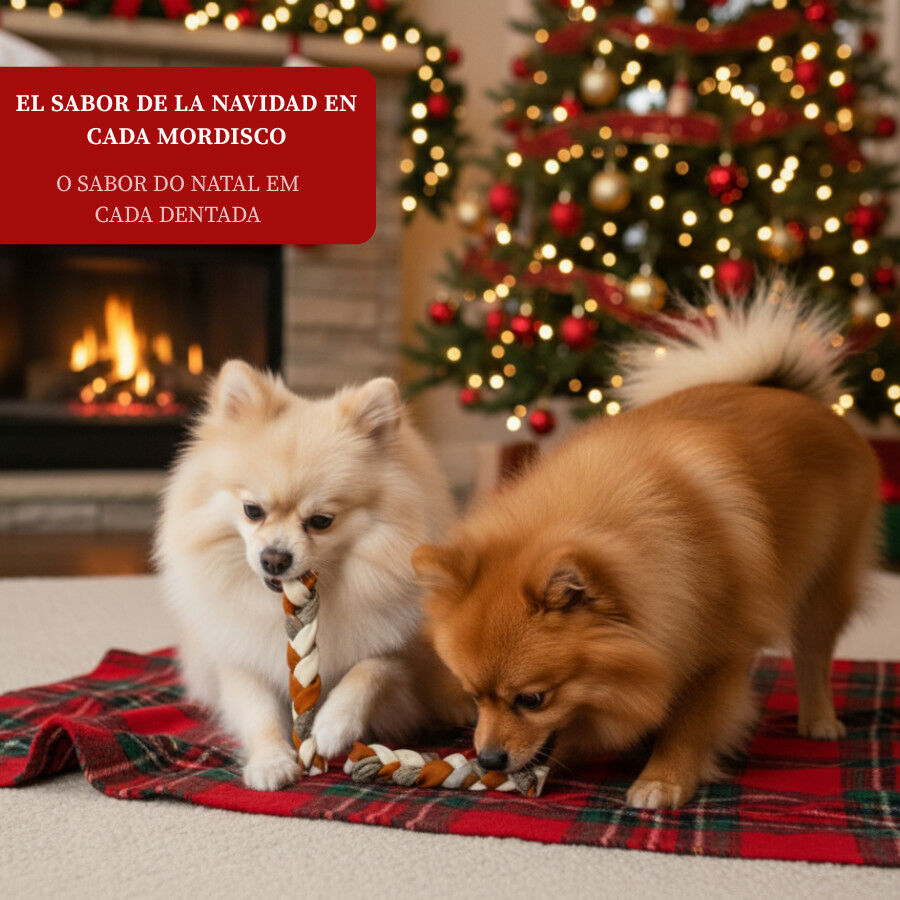 2 barritas Wonder Christmas Snacks de Piel de Pescado para perros, , large Imagen numero 4