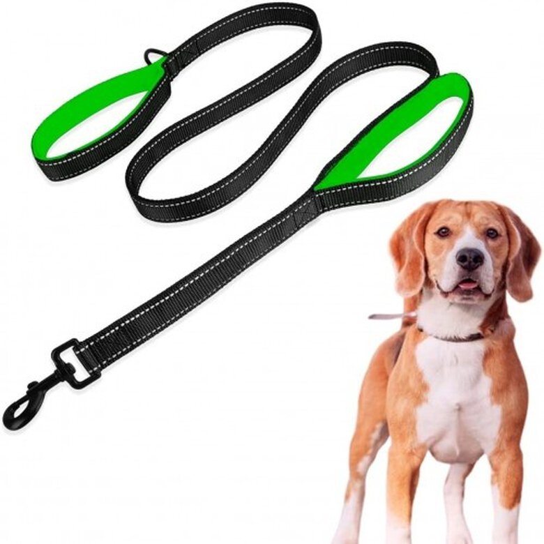 Edipets correa alta resistencia de nylon verde para perros, , large image number null