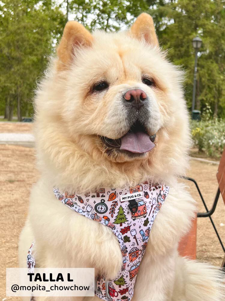 Arn&eacute;s Ajustable Pumpkin Spice, , large Imagen numero 2