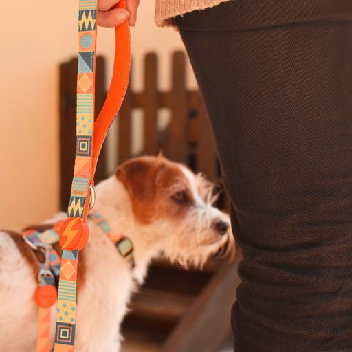 Dashi terracotta correa de poli&eacute;ster multicolor para perros, , large Imagen numero 3